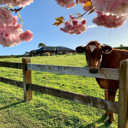 Heaven'S Rest B&B Pukekohe Luaran gambar